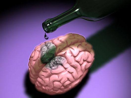 Потеря интеллекта: видновский врач рассказал о малоизвестном факторе влияния алкоголя на организм